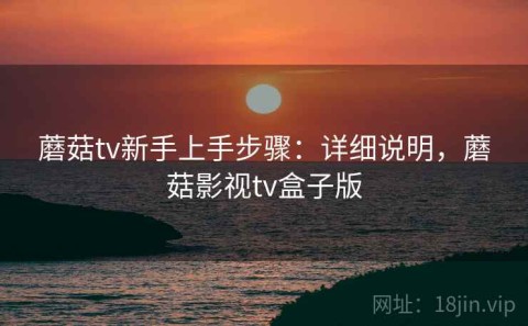 蘑菇tv新手上手步骤：详细说明，蘑菇影视tv盒子版