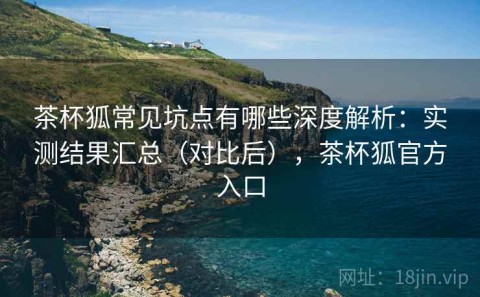 茶杯狐常见坑点有哪些深度解析：实测结果汇总（对比后），茶杯狐官方入口
