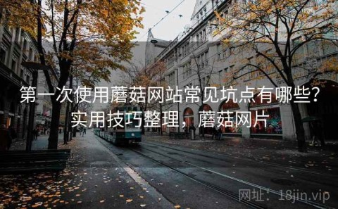 第一次使用蘑菇网站常见坑点有哪些？实用技巧整理，蘑菇网片