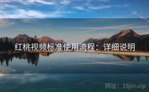 红桃视频标准使用流程：详细说明