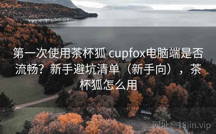 第一次使用茶杯狐 cupfox电脑端是否流畅？新手避坑清单（新手向），茶杯狐怎么用