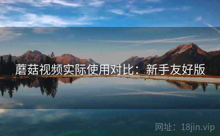 蘑菇视频实际使用对比：新手友好版