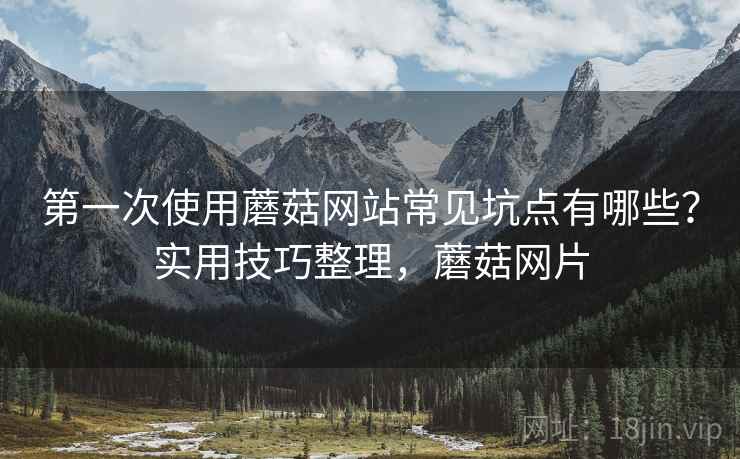 第一次使用蘑菇网站常见坑点有哪些？实用技巧整理，蘑菇网片