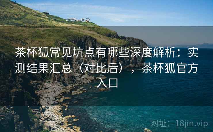 茶杯狐常见坑点有哪些深度解析：实测结果汇总（对比后），茶杯狐官方入口